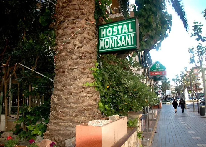 Montsant בית הארחה